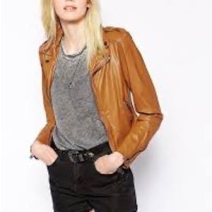 New Womens Hot Shorts Brown Jacket Size M .